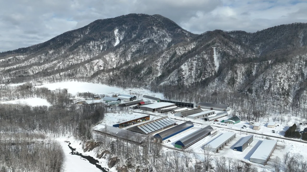雪をまとった山々に囲まれるトムラウシ肉牛牧場の全景
